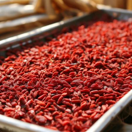 枸杞冷藏晒干久存