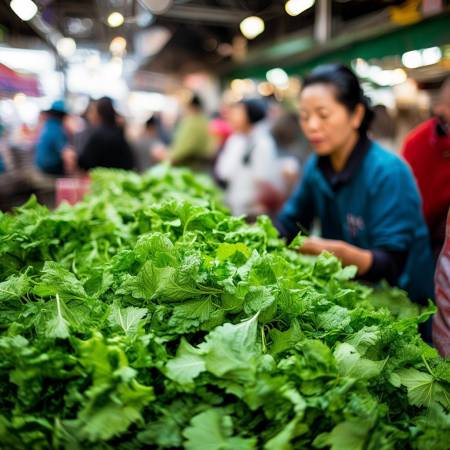 新鲜茼蒿,鲜绿无萎蔫